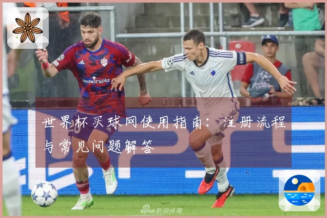 世界杯买球网使用指南：注册流程与常见问题解答