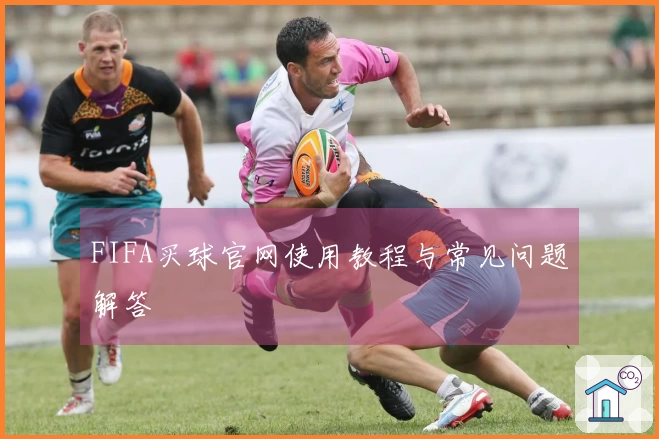 FIFA买球官网使用教程与常见问题解答