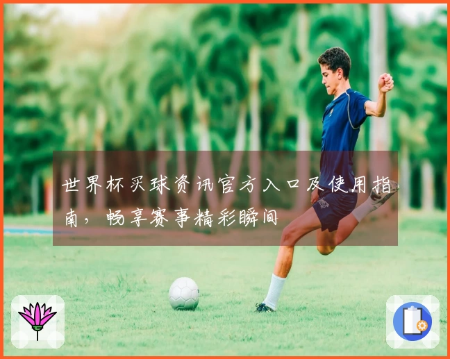 世界杯买球资讯官方入口及使用指南，畅享赛事精彩瞬间