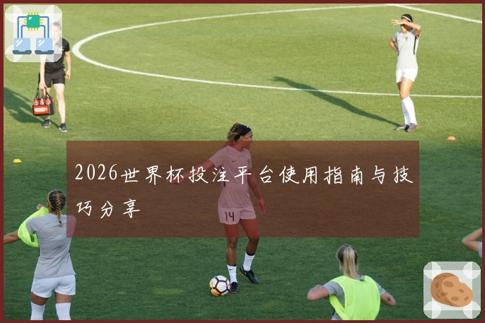2026世界杯投注平台使用指南与技巧分享